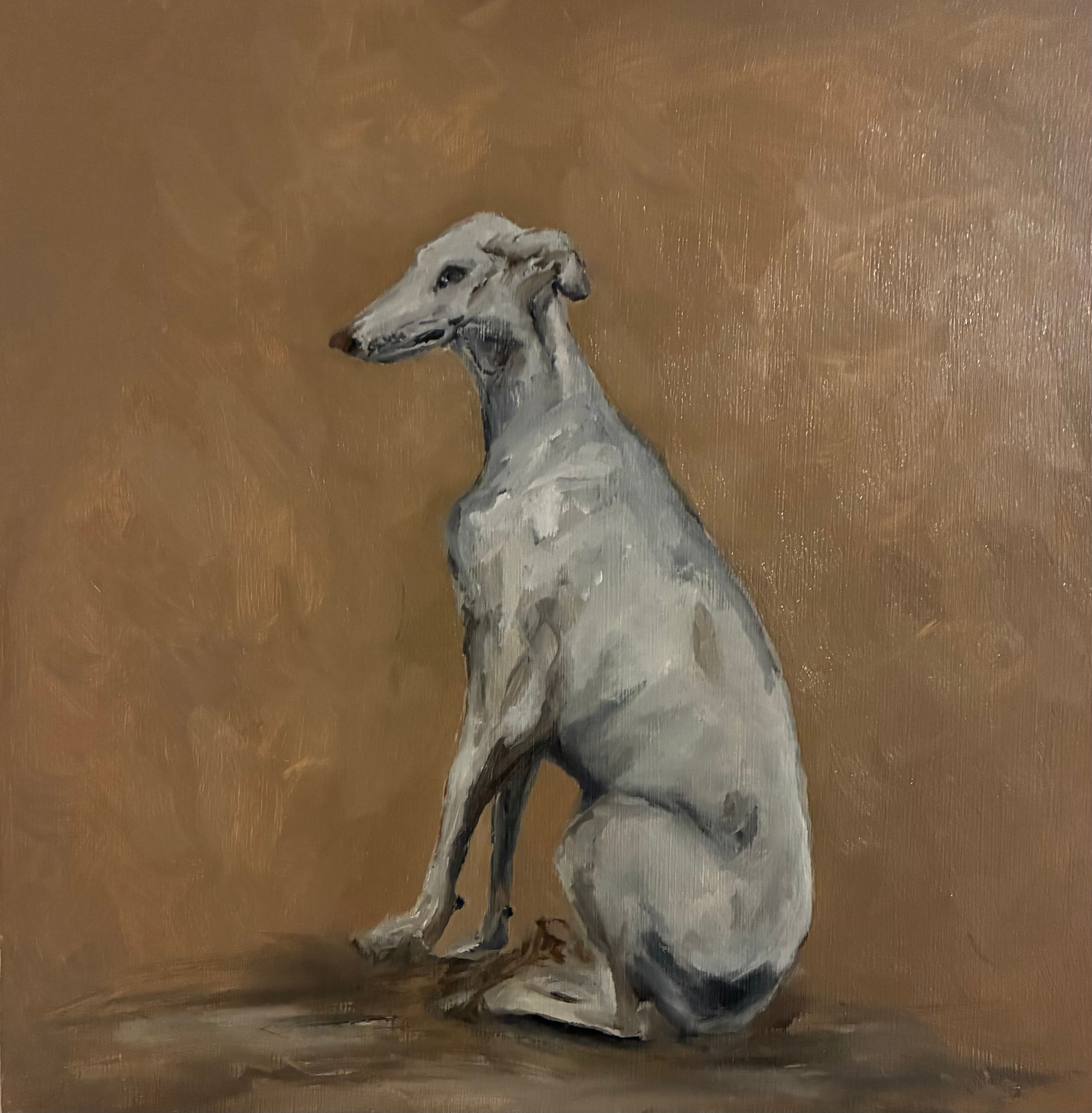 Seated Hound, Oil on board